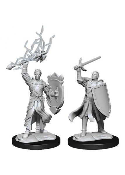 D&D Nolzur's Marvelous Miniatures: Half-Elf Paladin Male